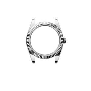 Case - Datejust Silver